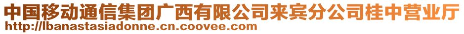 中國移動通信集團(tuán)廣西有限公司來賓分公司桂中營業(yè)廳