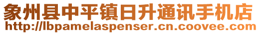 象州縣中平鎮(zhèn)日升通訊手機(jī)店