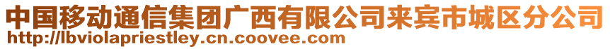 中國移動通信集團廣西有限公司來賓市城區(qū)分公司