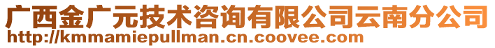 廣西金廣元技術咨詢有限公司云南分公司