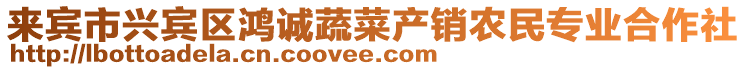 來賓市興賓區(qū)鴻誠蔬菜產銷農民專業(yè)合作社