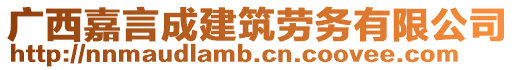 廣西嘉言成建筑勞務(wù)有限公司