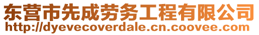 東營市先成勞務(wù)工程有限公司