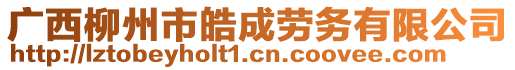 廣西柳州市皓成勞務(wù)有限公司