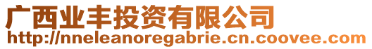 廣西業(yè)豐投資有限公司