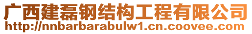 廣西建磊鋼結(jié)構(gòu)工程有限公司