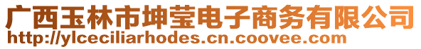 廣西玉林市坤瑩電子商務有限公司