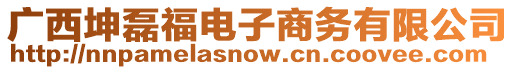 廣西坤磊福電子商務(wù)有限公司