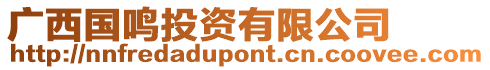 廣西國(guó)鳴投資有限公司