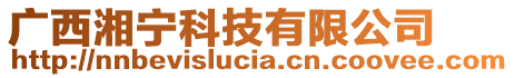 廣西湘寧科技有限公司