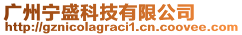 廣州寧盛科技有限公司