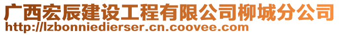 廣西宏辰建設(shè)工程有限公司柳城分公司