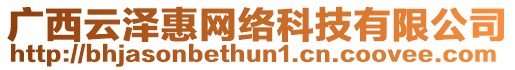 廣西云澤惠網絡科技有限公司