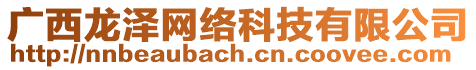 廣西龍澤網(wǎng)絡(luò)科技有限公司