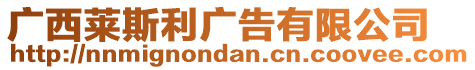 廣西萊斯利廣告有限公司