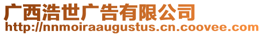 廣西浩世廣告有限公司