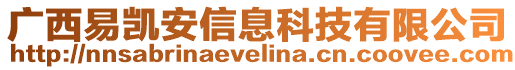 廣西易凱安信息科技有限公司