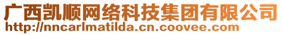 廣西凱順網(wǎng)絡(luò)科技集團(tuán)有限公司