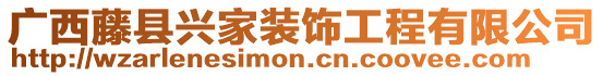 廣西藤縣興家裝飾工程有限公司