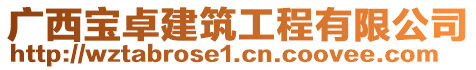 廣西寶卓建筑工程有限公司