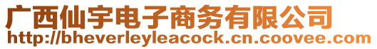 廣西仙宇電子商務(wù)有限公司