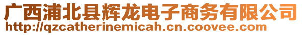 廣西浦北縣輝龍電子商務(wù)有限公司