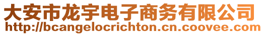 大安市龍宇電子商務(wù)有限公司