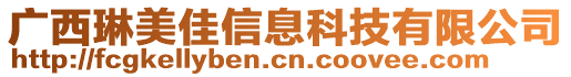 廣西琳美佳信息科技有限公司