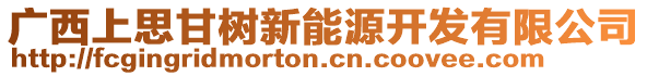 廣西上思甘樹新能源開發(fā)有限公司