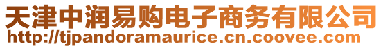 天津中潤(rùn)易購(gòu)電子商務(wù)有限公司