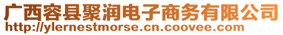 廣西容縣聚潤電子商務(wù)有限公司