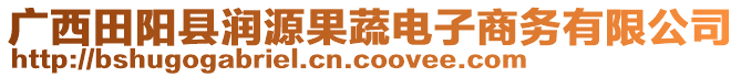 廣西田陽縣潤源果蔬電子商務(wù)有限公司