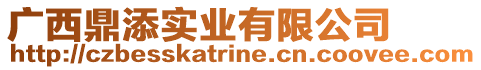 廣西鼎添實(shí)業(yè)有限公司