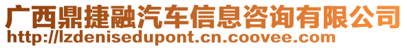 廣西鼎捷融汽車信息咨詢有限公司