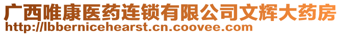 廣西唯康醫(yī)藥連鎖有限公司文輝大藥房