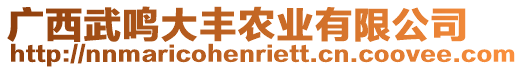 廣西武鳴大豐農(nóng)業(yè)有限公司