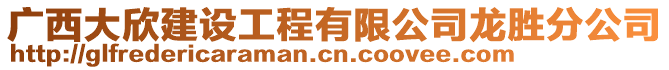 廣西大欣建設(shè)工程有限公司龍勝分公司