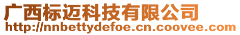 廣西標(biāo)邁科技有限公司