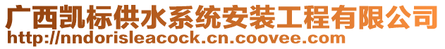 廣西凱標(biāo)供水系統(tǒng)安裝工程有限公司