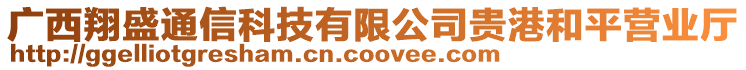 廣西翔盛通信科技有限公司貴港和平營業(yè)廳