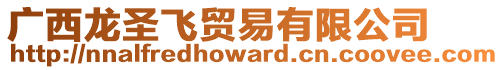 廣西龍圣飛貿易有限公司