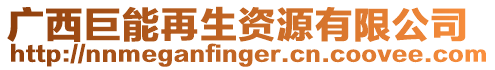 廣西巨能再生資源有限公司