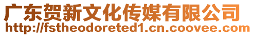 廣東賀新文化傳媒有限公司