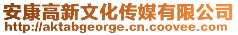 安康高新文化傳媒有限公司