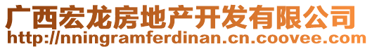 廣西宏龍房地產(chǎn)開發(fā)有限公司