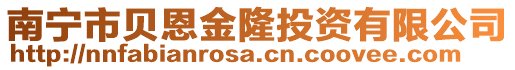 南寧市貝恩金隆投資有限公司