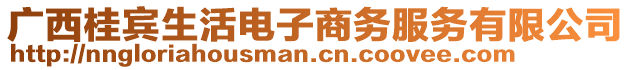 廣西桂賓生活電子商務(wù)服務(wù)有限公司