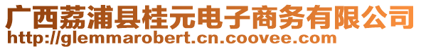 廣西荔浦縣桂元電子商務(wù)有限公司