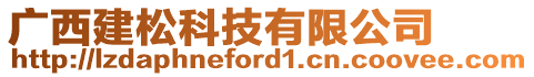 廣西建松科技有限公司