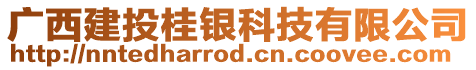 廣西建投桂銀科技有限公司